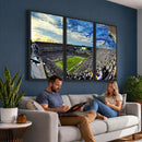 Framed USF Bulls Football Team Print - Tampa Raymond James