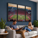 Arizona Wildcats Football Team Print - Tucson Arizona