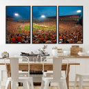 Clemson University Tigers Football Team Print - Clemson