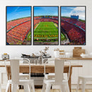 Iowa State University Cyclones Football Team Print - Ames
