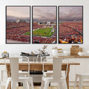 Iowa State University Cyclones Football Team Print - Ames