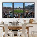 Michigan State Spartans Football Team Art Print - East