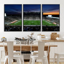 Michigan State Spartans Football Team Print - East Lansing