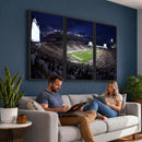 Michigan State Spartans Canvas, Framed Football Team Print -