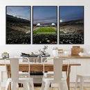 Michigan State Spartans Football Team Print - East Lansing