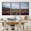 University of Minnesota Golden Gophers Football Team Print - by MyGreatCanvas | Canvas Wall Art Prints | Photo Prints & Wall Decor