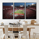 Ohio State University Buckeyes Football Team Print -