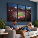 Ohio State University Buckeyes Football Team Print -