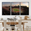 Ohio State University Buckeyes Football Team Print -