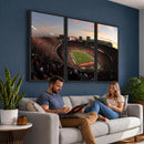 Ohio State University Buckeyes Football Team Print -