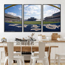 Rice University Owls Football Team Print - Houston Rice