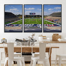 Rice University Owls Football Team Print - Houston Rice by MyGreatCanvas | Canvas Wall Art Prints | Photo Prints & Wall Decor