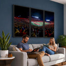 Rutgers Scarlet Knights Football Team Print - SHI Stadium,