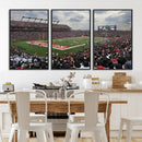 Rutgers Scarlet Knights Football Team Print - SHI Stadium,