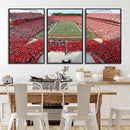 Rutgers Scarlet Knights Football Team Print - Piscataway SHI by MyGreatCanvas | Canvas Wall Art Prints | Photo Prints & Wall Decor