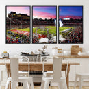 Stanford University Cardinal Football Team Print - Stanford
