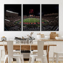 Framed Texas Tech Red Raiders Stadium Canvas, Texas Tech Red