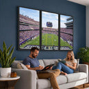 TCU Horned Frogs Football Team Print - Fort Worth Amon G.