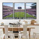 TCU Horned Frogs Football Team Print - Fort Worth Amon G.