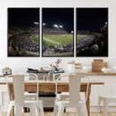 TCU Horned Frogs Football Team Print - Fort Worth Amon G.