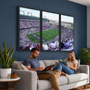 The Texas Christian University TCU Horned Frogs Football