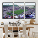 The Texas Christian University TCU Horned Frogs Football