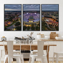 The Louisiana State University Tigers Football Team Print -