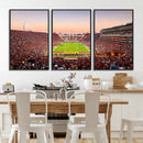 The University of Southern California USC Trojans Football by MyGreatCanvas | Canvas Wall Art Prints | Photo Prints & Wall Decor