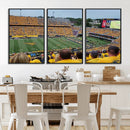 Puskar Stadium Canvas Print Wall Art - Morgantown Print -
