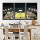 Florida A&M Rattlers Football Team Print - Tallahassee Bragg
