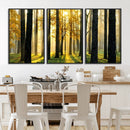 Sunlit Forest Wall Art Canvas Print – Large Framed Woodland