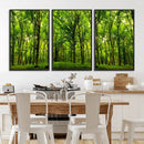 Lush Green Forest Canvas Print | 3-Panel Forest Wall Art | by MyGreatCanvas | Canvas Wall Art Prints | Photo Prints & Wall Decor