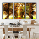 Sunshine in Forest and Trees Wall Art Canvas Print by MyGreatCanvas | Canvas Wall Art Prints | Photo Prints & Wall Decor