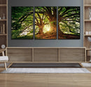 Majestic Ancient Tree Wall Art, NatureCanvas Print, Woodland by MyGreatCanvas | Canvas Wall Art Prints | Photo Prints & Wall Decor