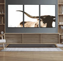 Texas Longhorn Wall Art Canvas Print | 3-Panel Large by MyGreatCanvas | Canvas Wall Art Prints | Photo Prints & Wall Decor