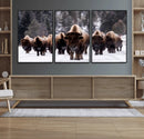 Bison Wall Art Canvas Print- Bison Herd Canvas Wall Art –