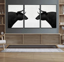 Spanish Bull Art - Framed Black and White Bull Canvas Print