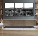 Black and White Highland Cow Canvas Wall Art, Longhorn by MyGreatCanvas | Canvas Wall Art Prints | Photo Prints & Wall Decor
