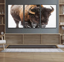 Bison Wall Art Canvas Print For Farmhouse, Wild Animal Wall by MyGreatCanvas | Canvas Wall Art Prints | Photo Prints & Wall Decor