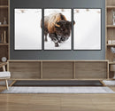 Bison Winter Wall Art Canvas Print For Farmhouse Decor