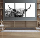 Black White Scottish Highland Cow Cattle Art Print Farmhouse