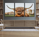 Highland Cow Animal Scottish Cattle Art Print Farmhouse Wall