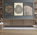 Boho Tree Ring Wall Art, Modern Minimalist Wood Grain