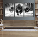 Buffalo Wall Art Canvas Print, Bison Family Wall Art Canvas by MyGreatCanvas | Canvas Wall Art Prints | Photo Prints & Wall Decor