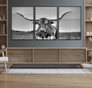 Texas Longhorn Cow Wall Art, Texas Longhorn Canvas, Cattle