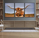 Texas Longhorn Wall Art Print, Framed Longhorn Cow Wall Art