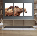 Mother and Baby Bear Canvas Wall Art - Adorable Wildlife