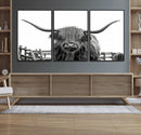 Longhorn Canvas Print, Bighorn Cow Wall Art Canvas Print