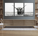 Highland Cow Canvas Wall Art – Majestic Beauty in Black and