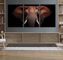 Wild Elephant Wall Art Canvas Print, Africa Savannah Wild by MyGreatCanvas | Canvas Wall Art Prints | Photo Prints & Wall Decor